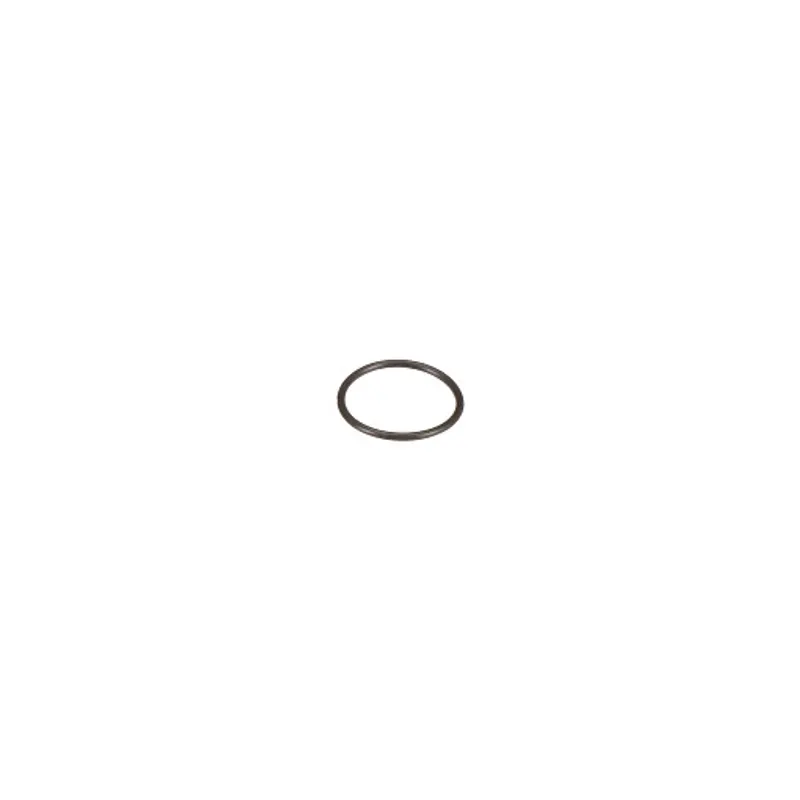 Peça código OEM 9861411 — O-Ring - 21,94 mm DI x 25,50 mm DE x 1,77 mm Esp